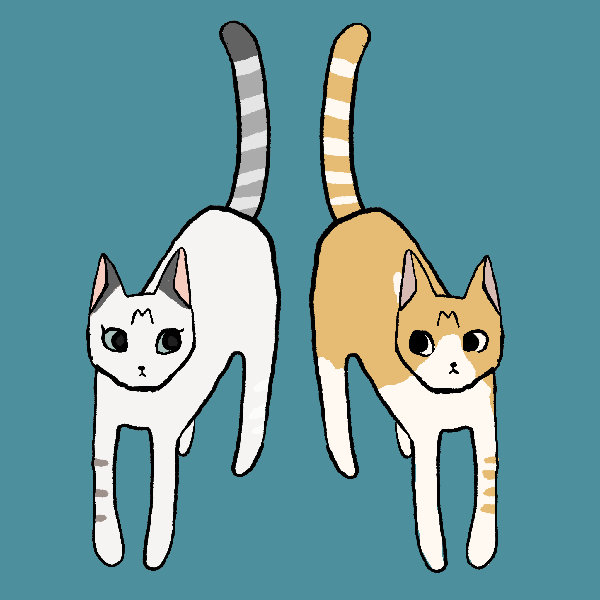あべこべ猫